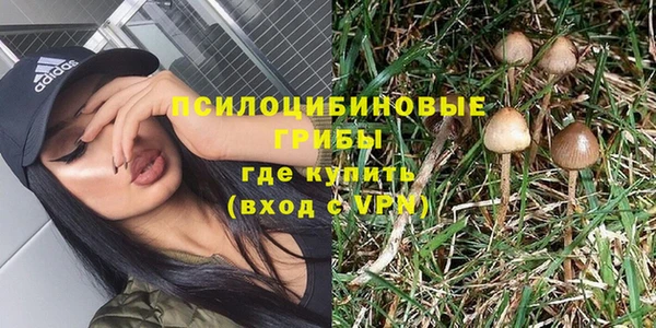 не бодяженный Алексин