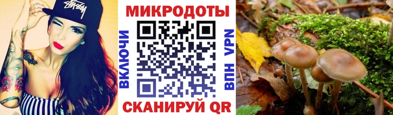Галлюциногенные грибы ЛСД  ОМГ ОМГ ССЫЛКА  Бахчисарай  наркотики 